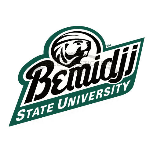 Customs Bemidji State Beavers 2004 Pres1 Iron-on Transfers (Wall Stickers)NO.3996